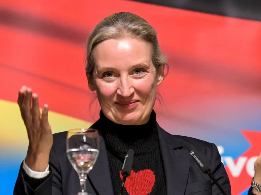 Alice Weidel husband news