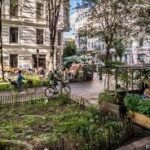 5 Best Local News Services in Berlin - Stay informed about nearby community developments